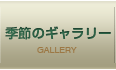 季節のギャラリー